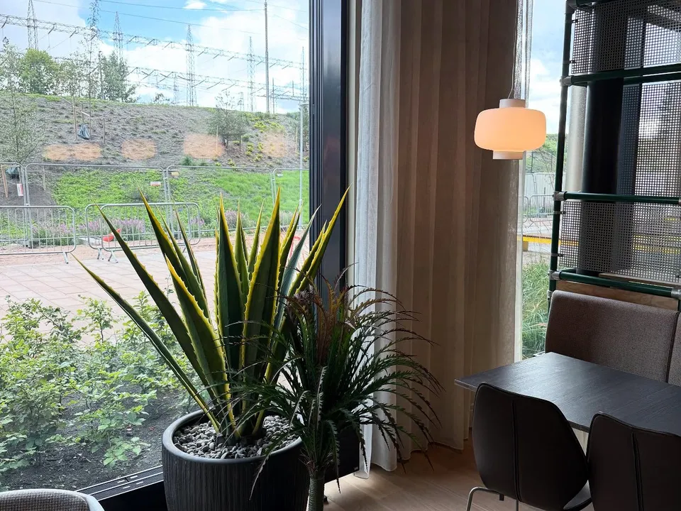 Uformell arbeidssone med transparente gardiner og grønne planter